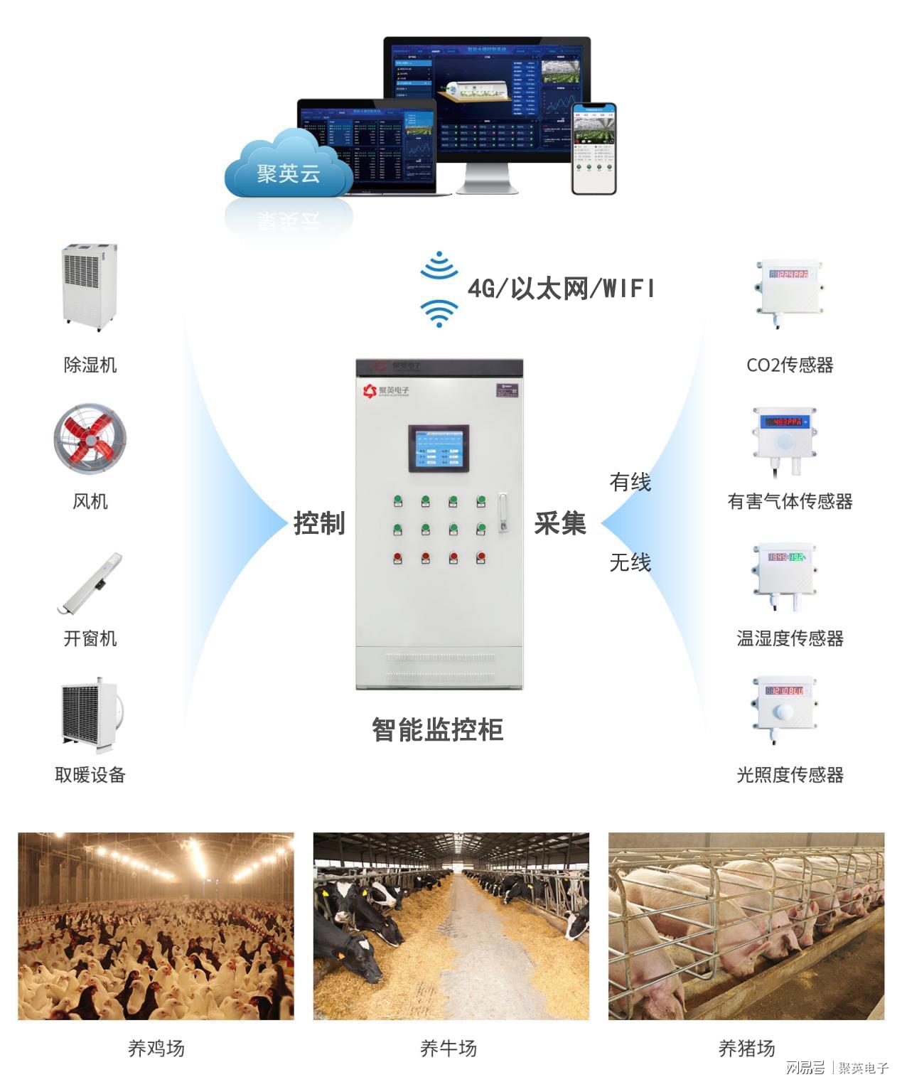 半岛股份科技有限公司:城市大脑(图1)